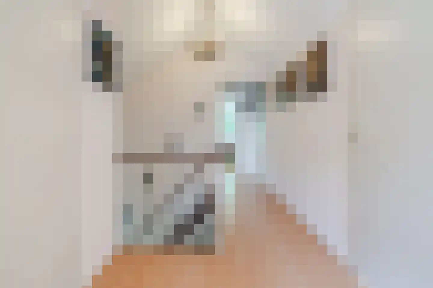 Keplerlaan 7 Hoogeveen thumbnail 47