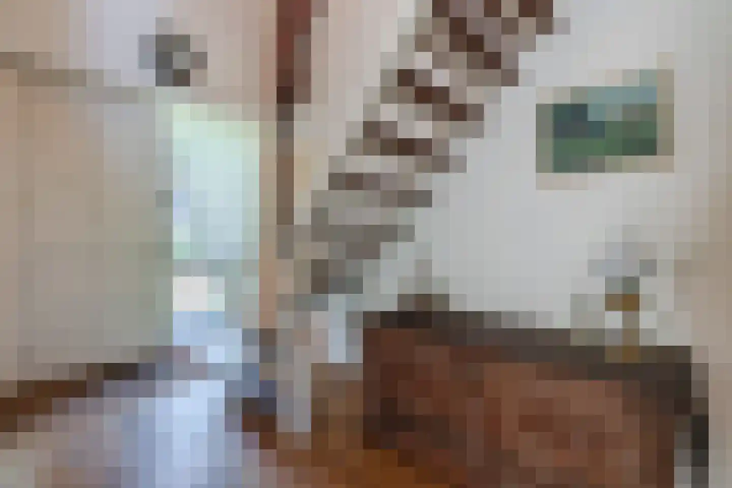 Keplerlaan 7 Hoogeveen thumbnail 9