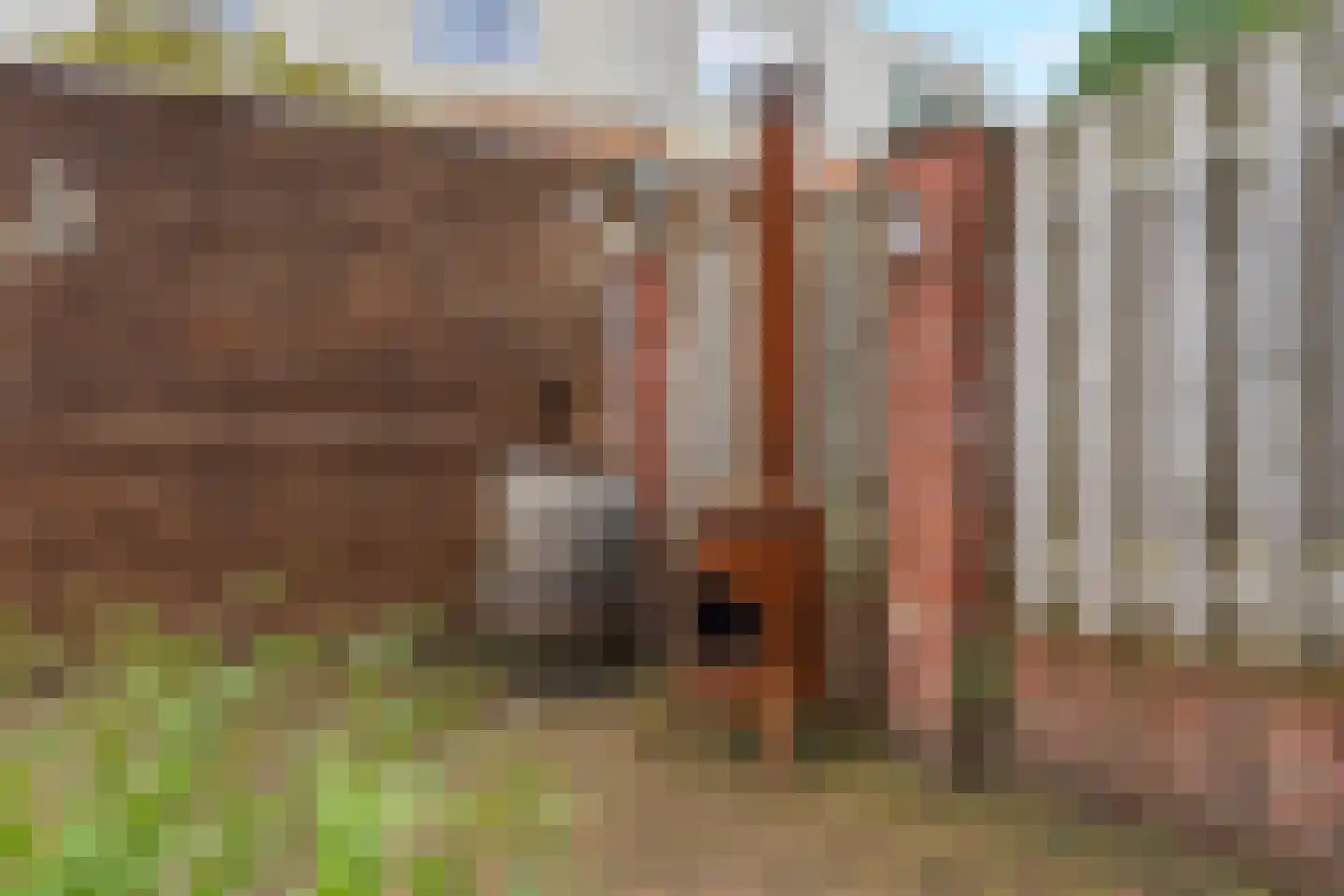 Keplerstraat 141 Nijmegen thumbnail 38