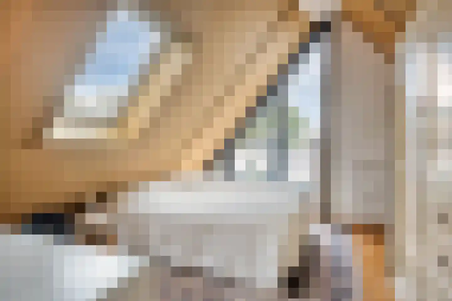Keplerstraat 54 Bergen op Zoom thumbnail 42