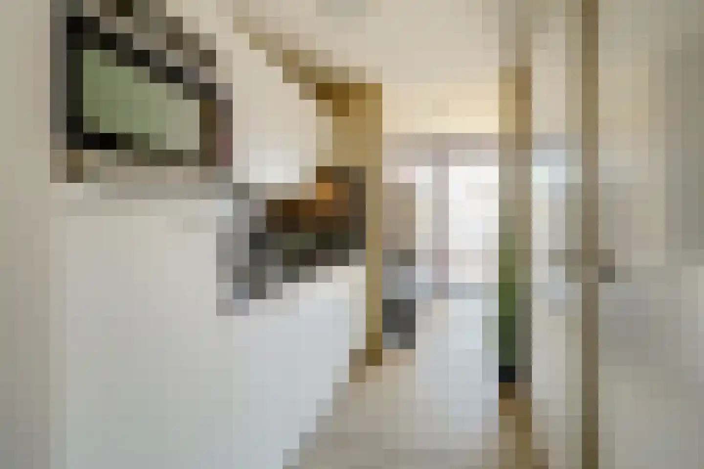 Keplerstraat 7 Bergen op Zoom thumbnail 14