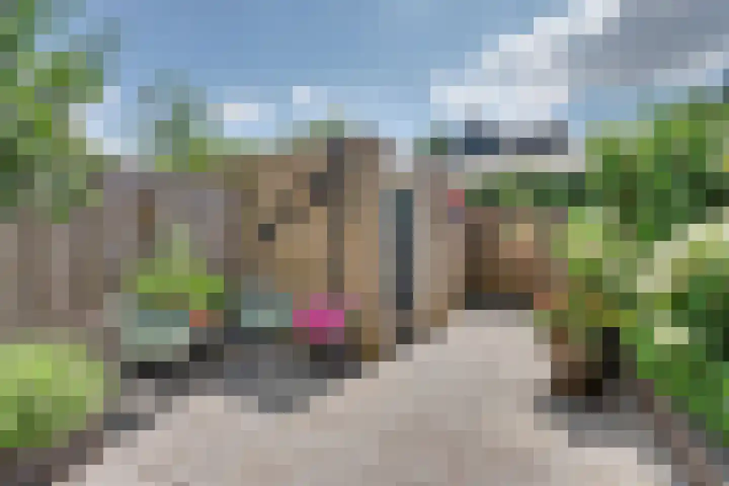 Keppel 25 Almelo thumbnail 22