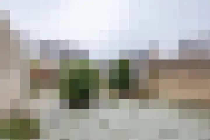 Keppel 6 Almelo thumbnail 16