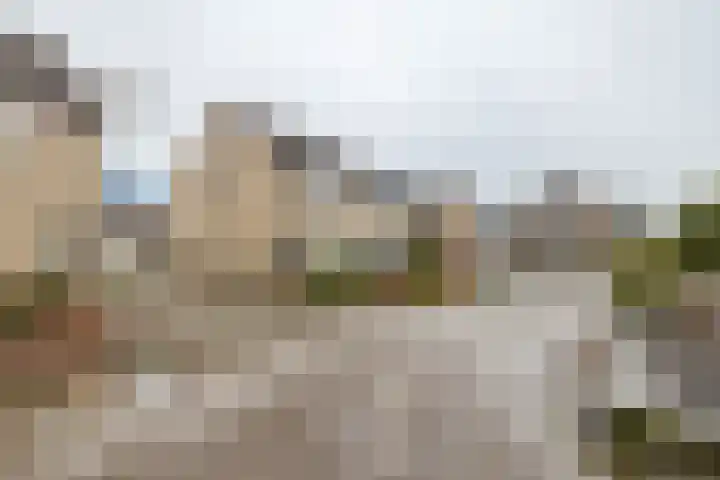 Keppel 6 Almelo thumbnail 17