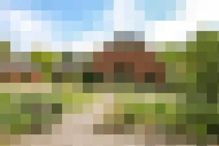 Keppelbroeksdijk 9 Westendorp thumbnail 23