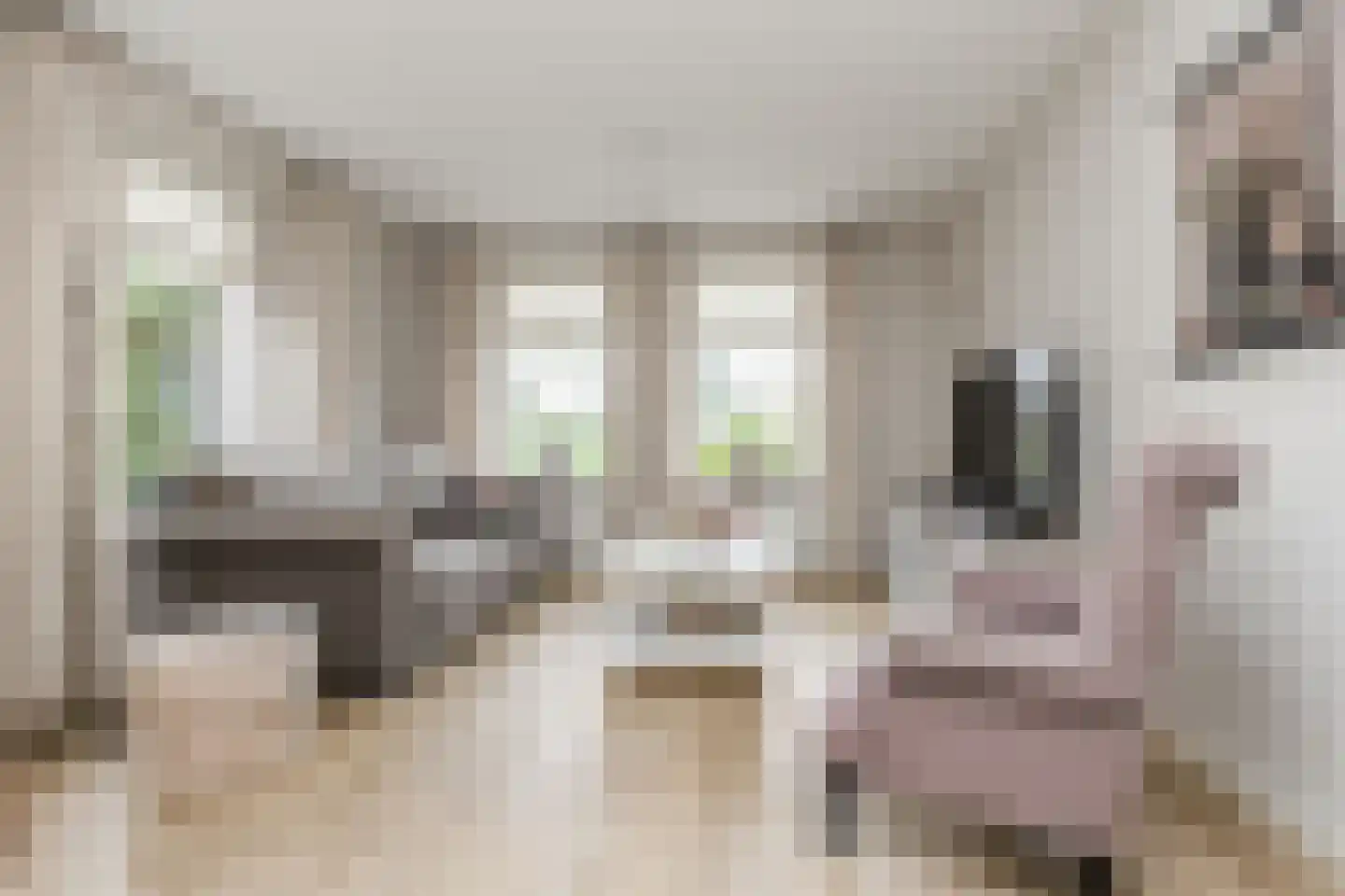 Keppelenkamp 13 Gameren thumbnail 14