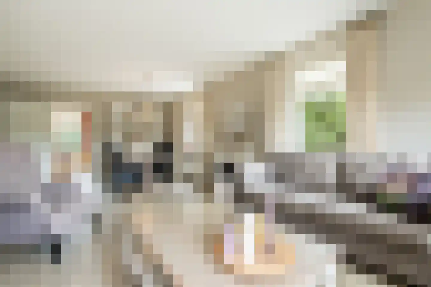 Keppelenkamp 13 Gameren thumbnail 17
