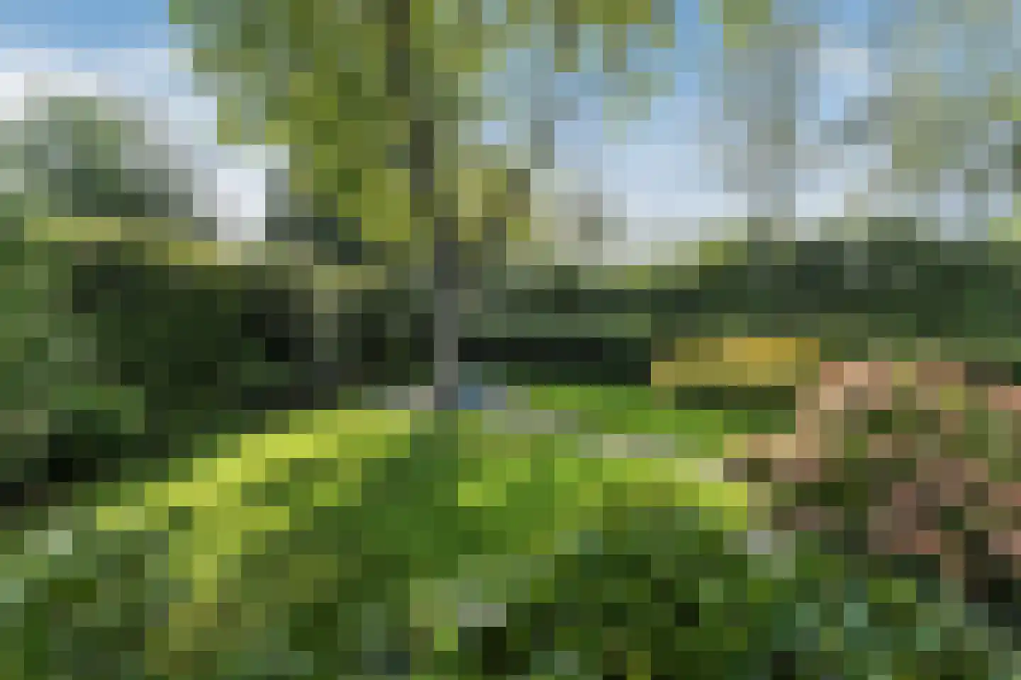 Keppelenkamp 13 Gameren thumbnail 56
