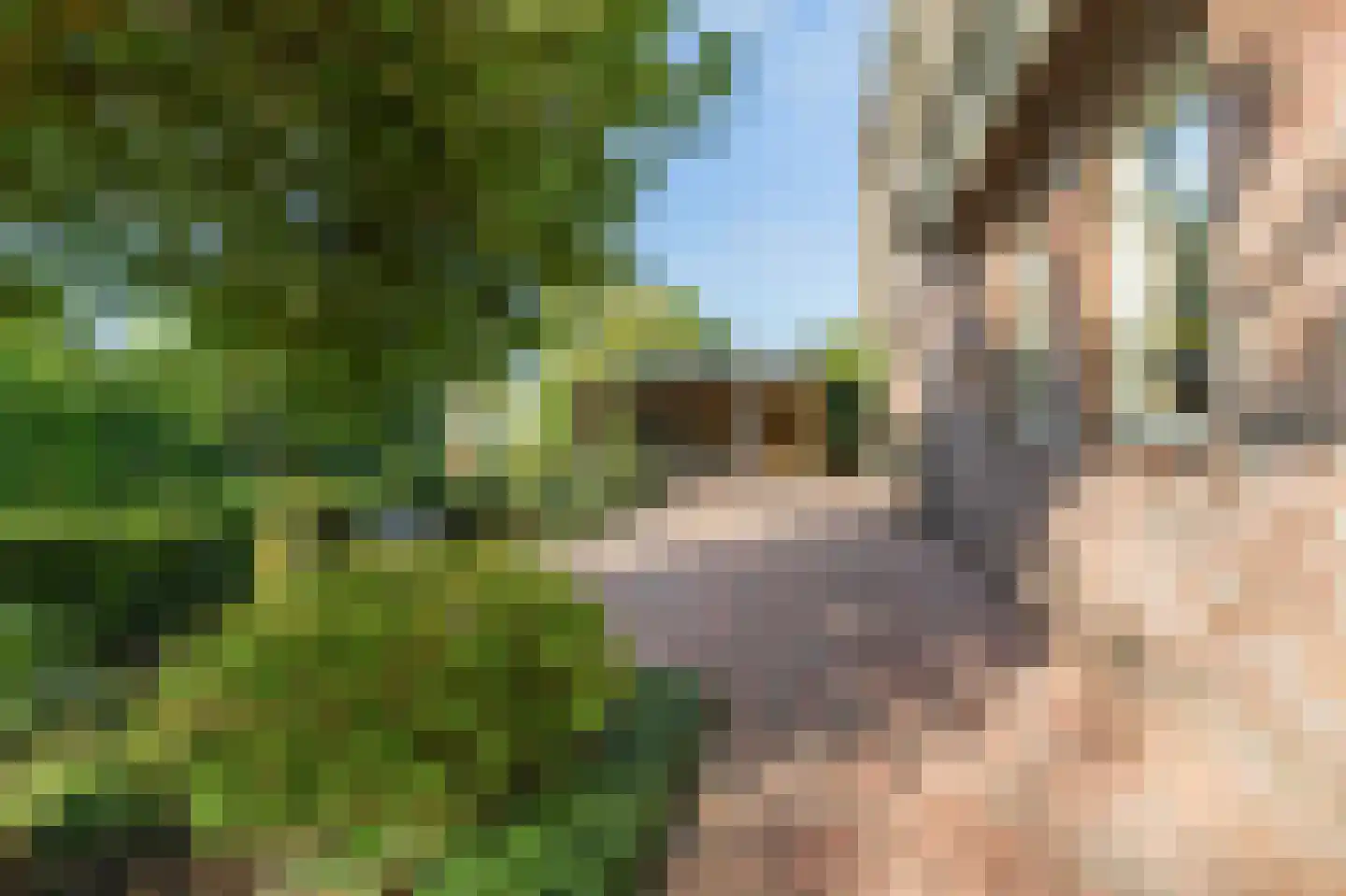 Keppelenkamp 13 Gameren thumbnail 57