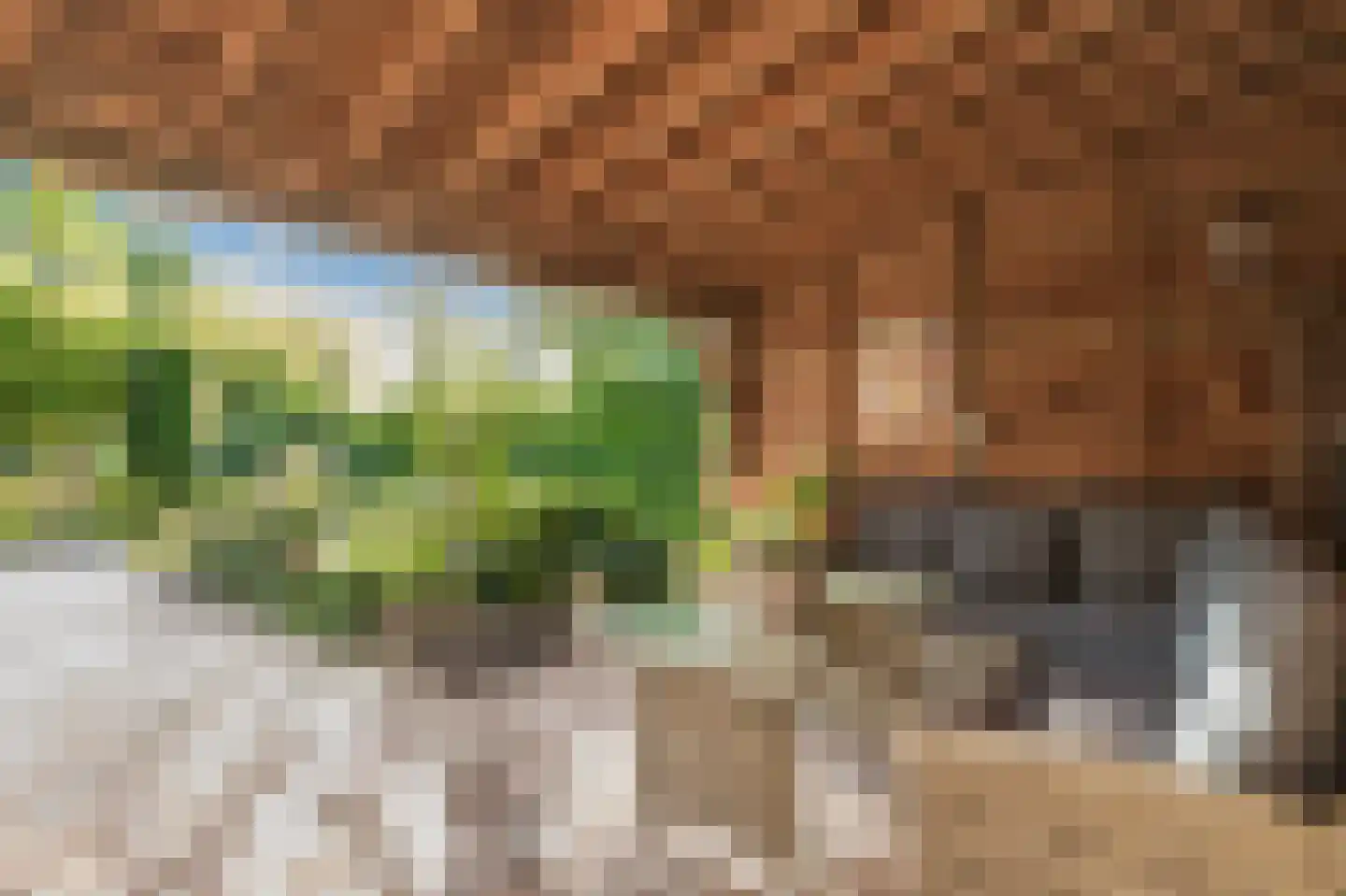 Keppelenkamp 13 Gameren thumbnail 61