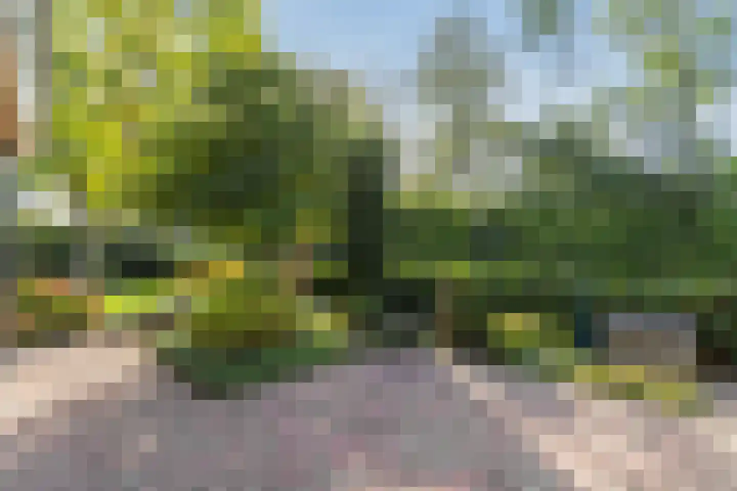 Keppelenkamp 13 Gameren thumbnail 66