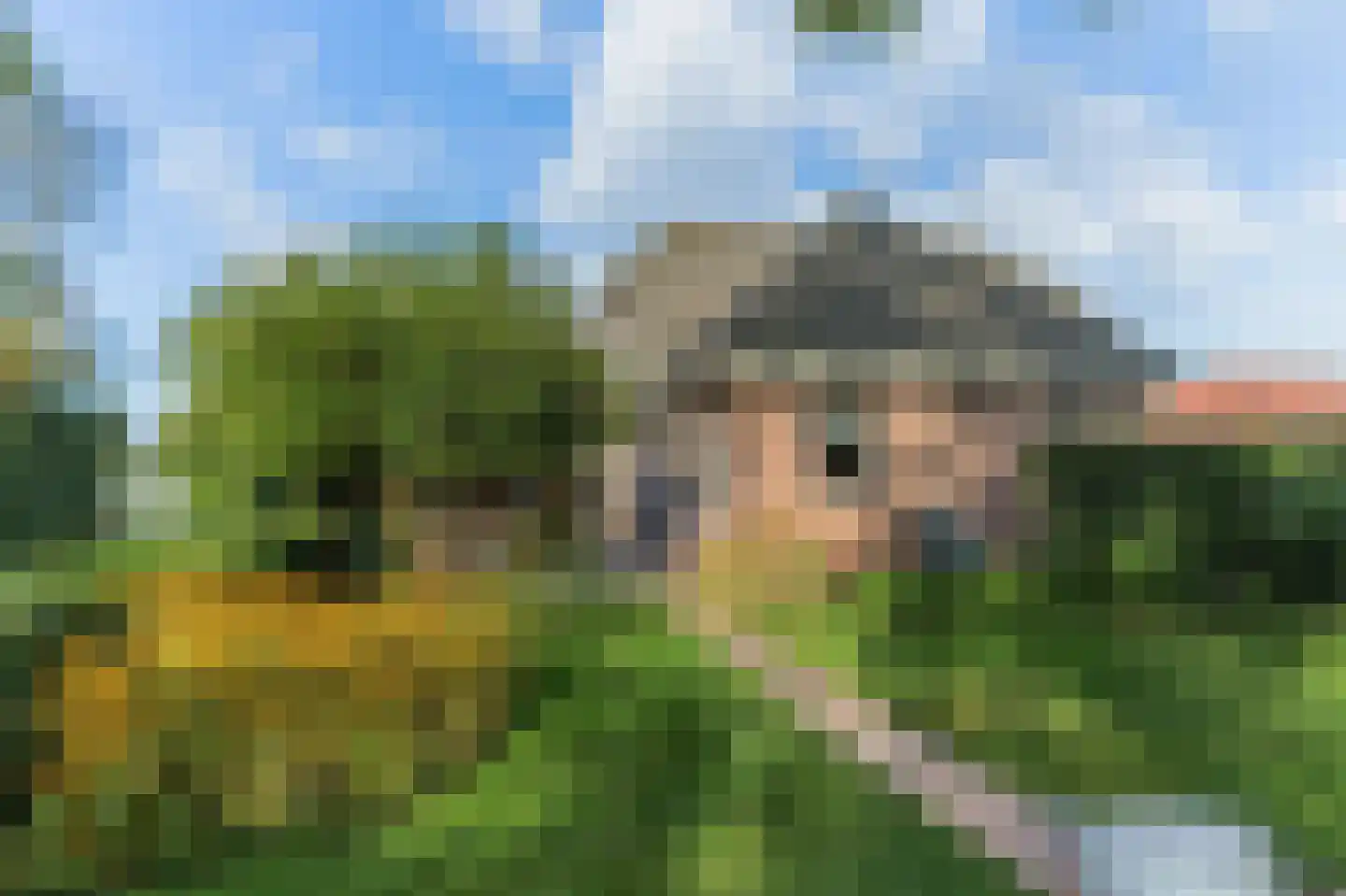 Keppelenkamp 13 Gameren thumbnail 69
