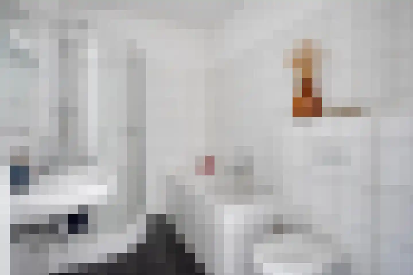 Keppelenkamp 24 Gameren thumbnail 25