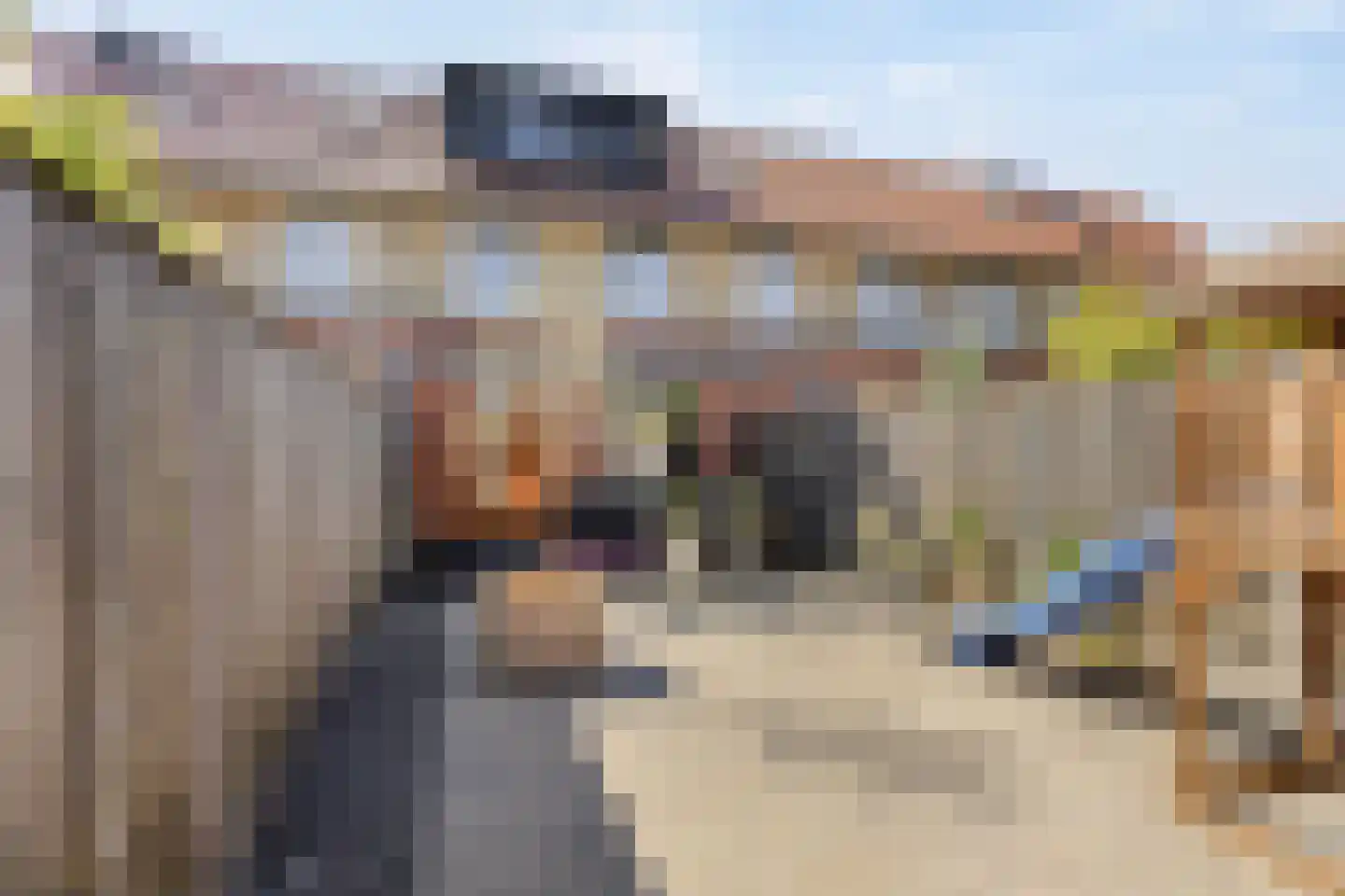 Keppelenkamp 24 Gameren thumbnail 34