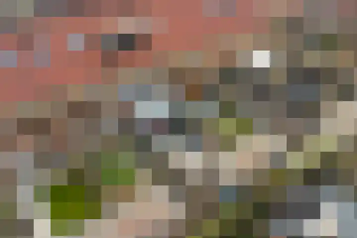 Keppelenkamp 24 Gameren thumbnail 36