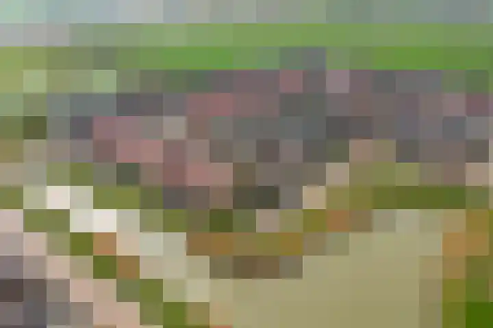 Keppelenkamp 24 Gameren thumbnail 37