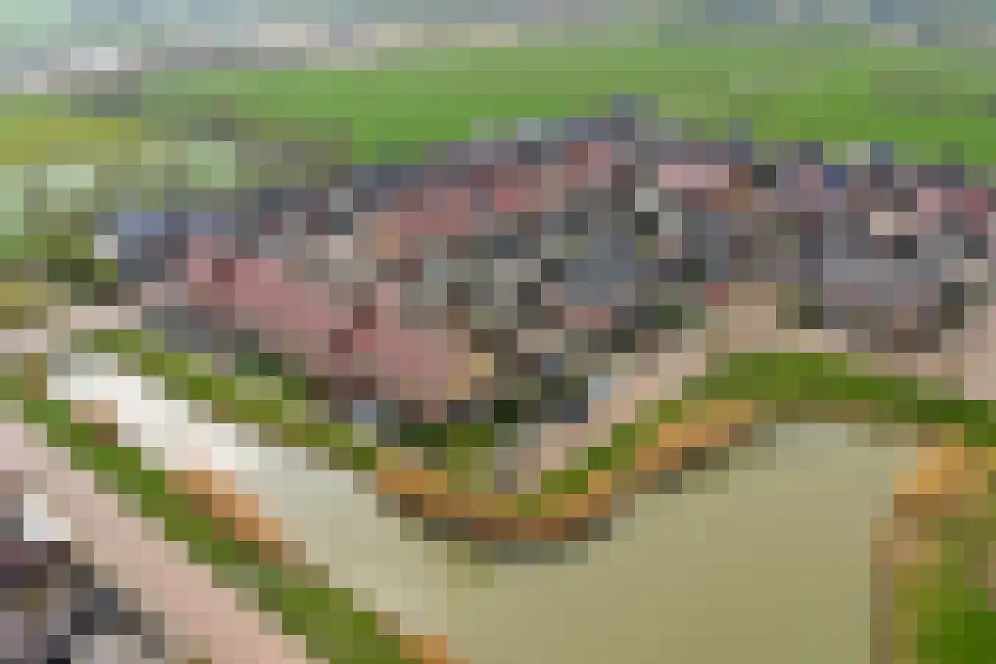 Keppelenkamp 24 Gameren thumbnail 38