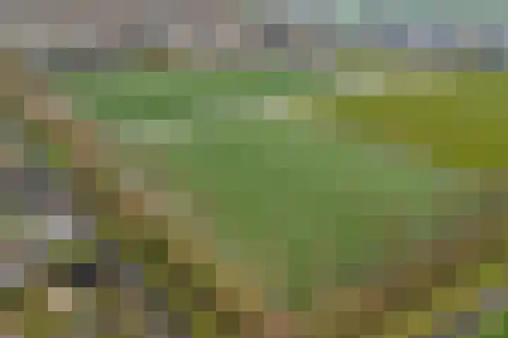Keppelenkamp 24 Gameren thumbnail 40