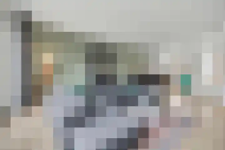Keppelenkamp 24 Gameren thumbnail 5