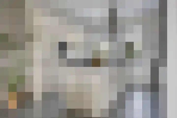 Keppelenkamp 33 Gameren thumbnail 19