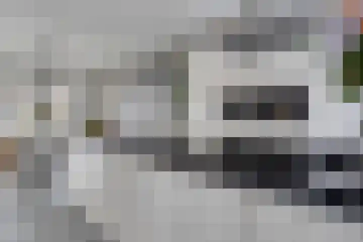 Keppelenkamp 33 Gameren thumbnail 20