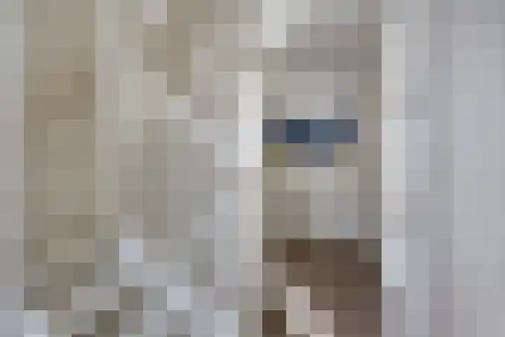 Keppelenkamp 33 Gameren thumbnail 34