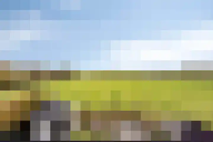 Keppelenkamp 33 Gameren thumbnail 37