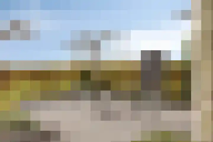 Keppelenkamp 33 Gameren thumbnail 41