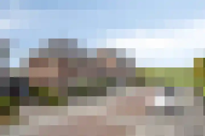 Keppelenkamp 33 Gameren thumbnail 47