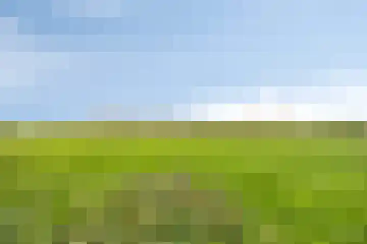 Keppelenkamp 33 Gameren thumbnail 48
