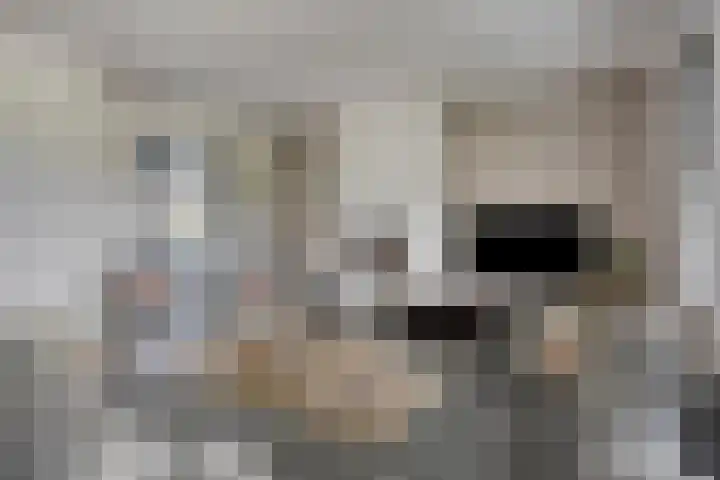 Keppelenkamp 33 Gameren thumbnail 9