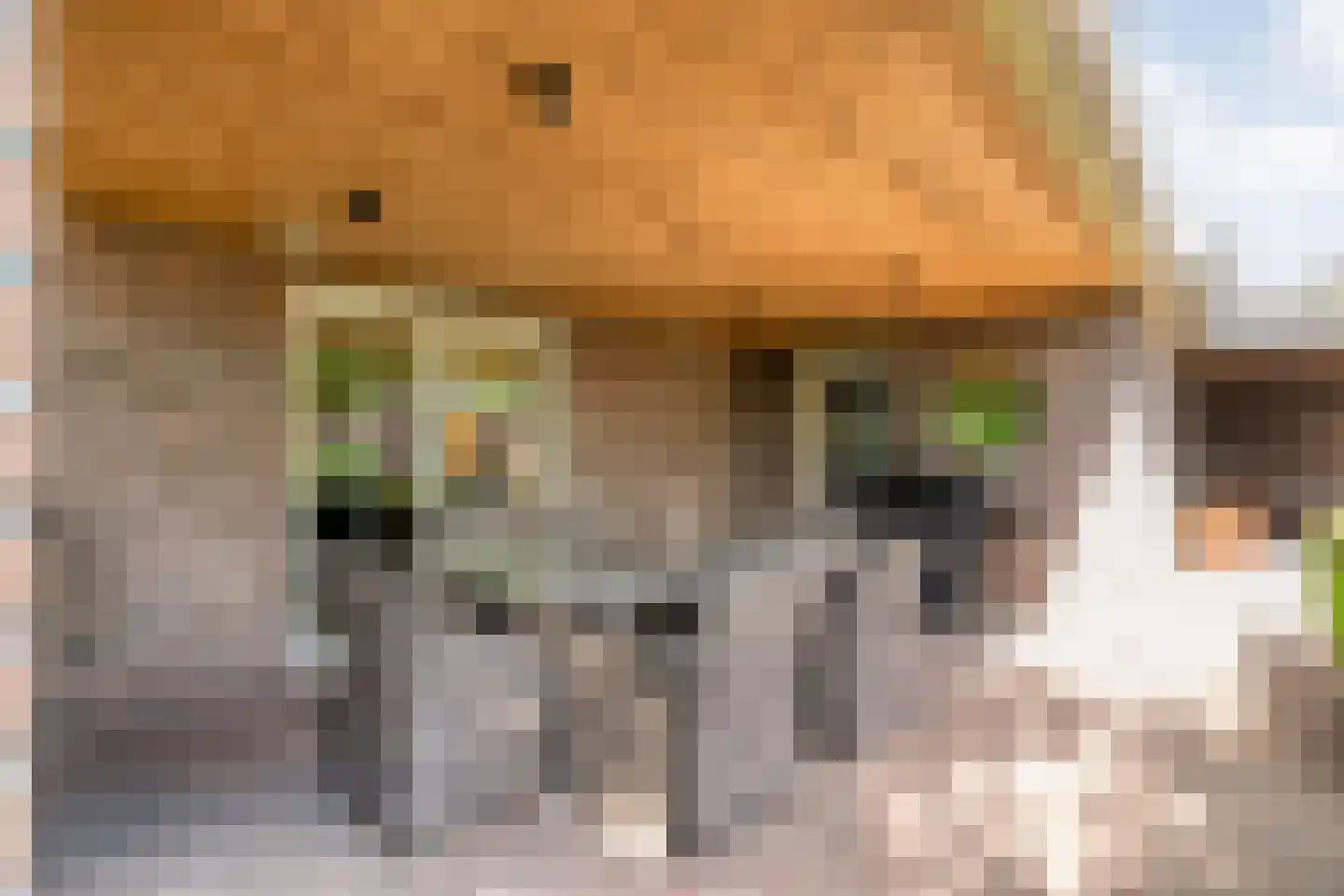 Keppelerdijk 272 Enschede thumbnail 67