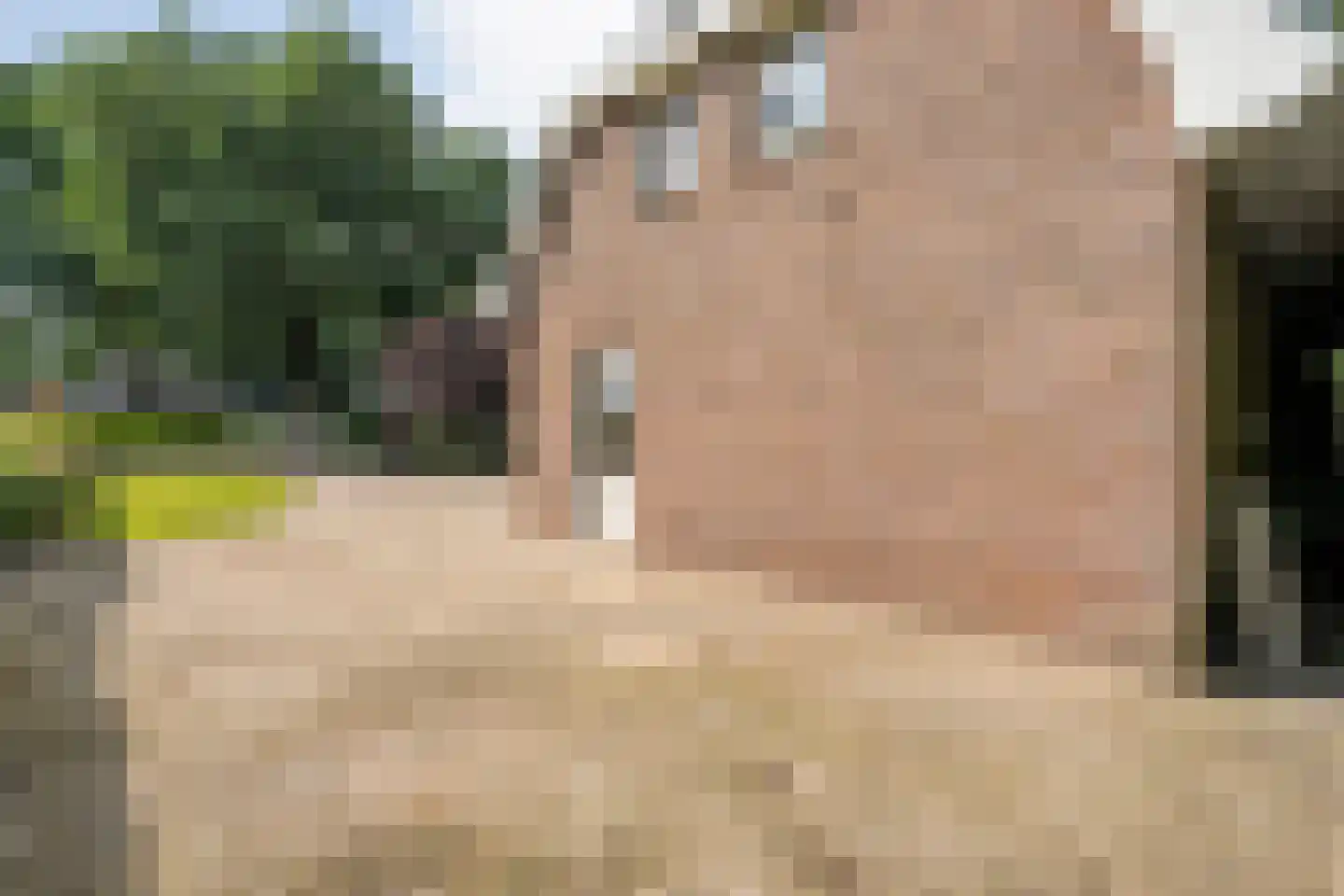 Keppelerdijk 272 Enschede thumbnail 79
