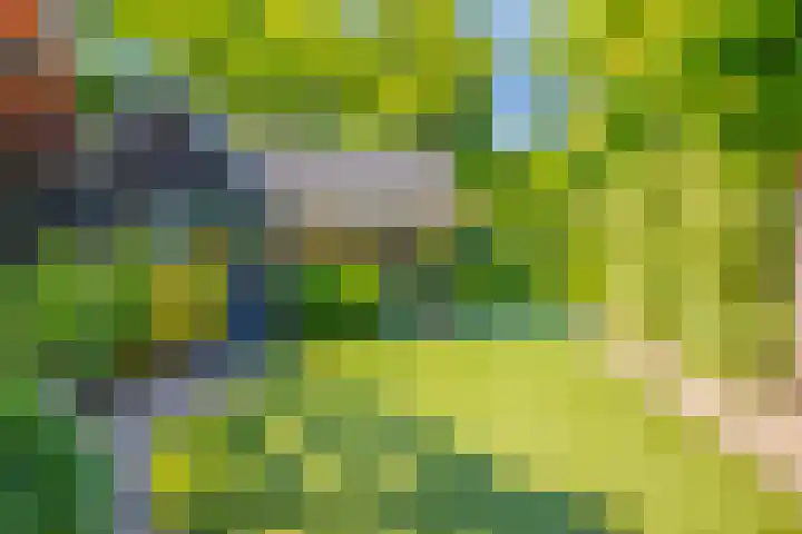 Keppelseweg 110 Doetinchem thumbnail 35