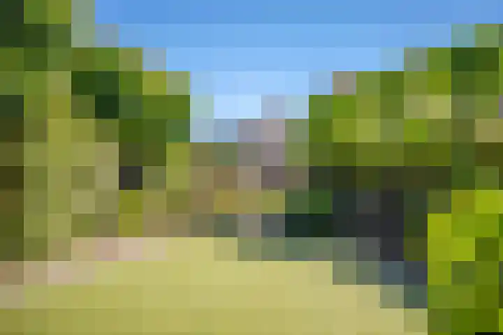 Keppelseweg 110 Doetinchem thumbnail 36