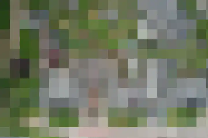 Keppelseweg 110 Doetinchem thumbnail 5
