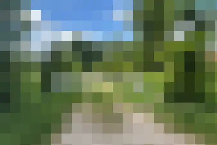 Keppelseweg 110 Doetinchem thumbnail 55