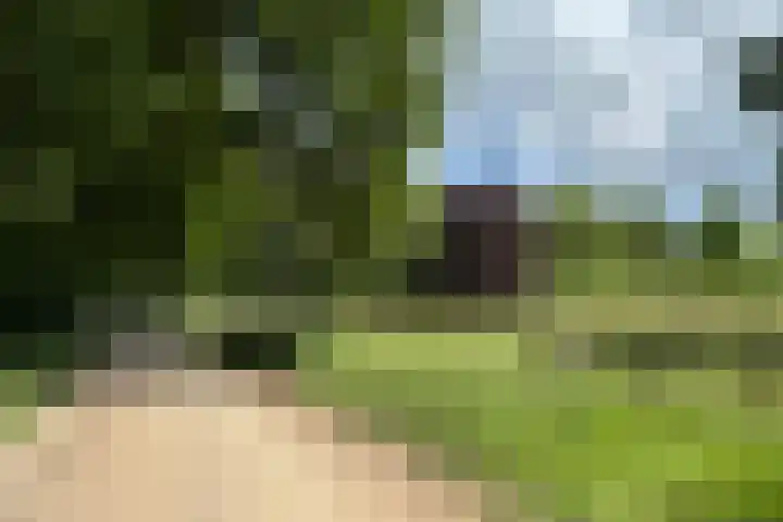 Keppelseweg 110 Doetinchem thumbnail 56