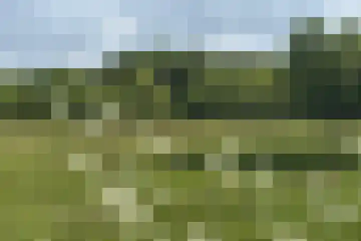 Keppelseweg 110 Doetinchem thumbnail 57