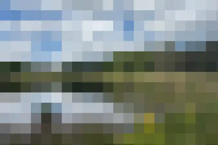 Keppelseweg 110 Doetinchem thumbnail 58