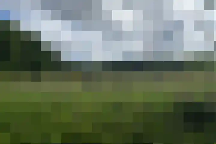 Keppelseweg 110 Doetinchem thumbnail 61