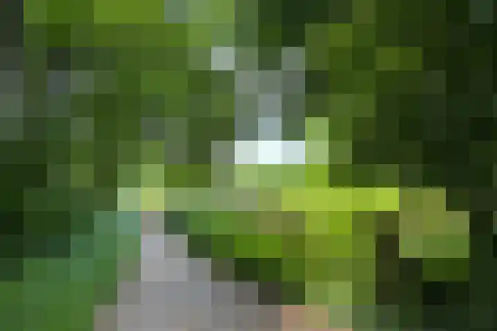 Keppelseweg 110 Doetinchem thumbnail 62