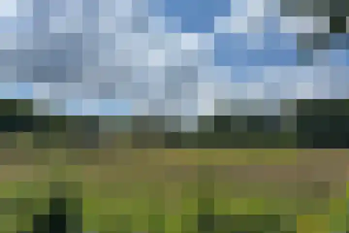 Keppelseweg 110 Doetinchem thumbnail 63