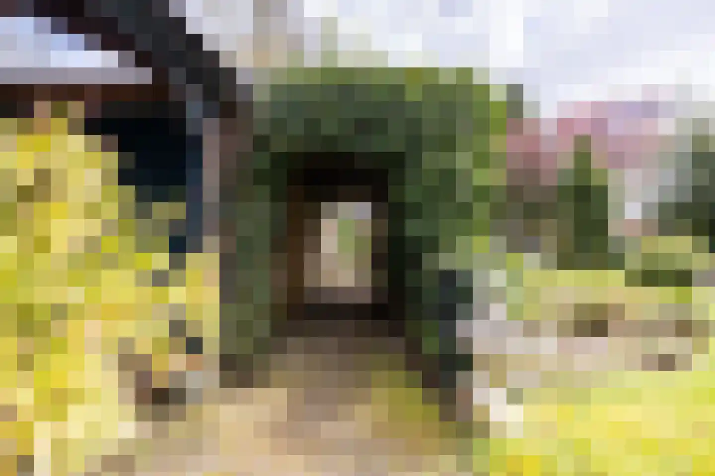 Keppelseweg 16 Wehl thumbnail 16
