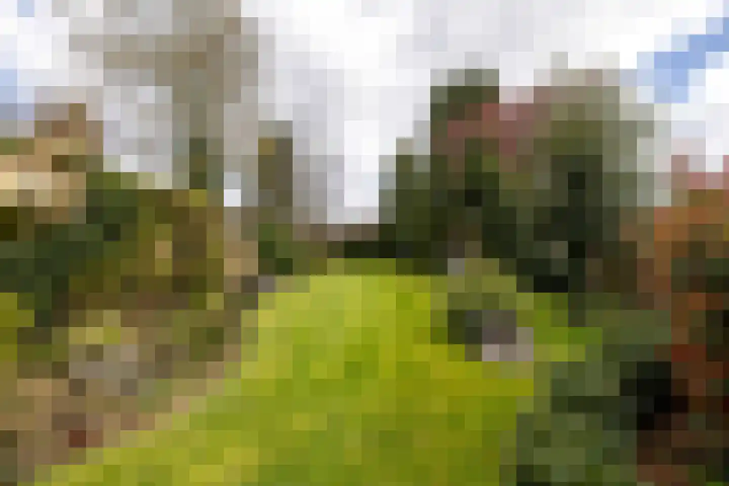 Keppelseweg 16 Wehl thumbnail 17