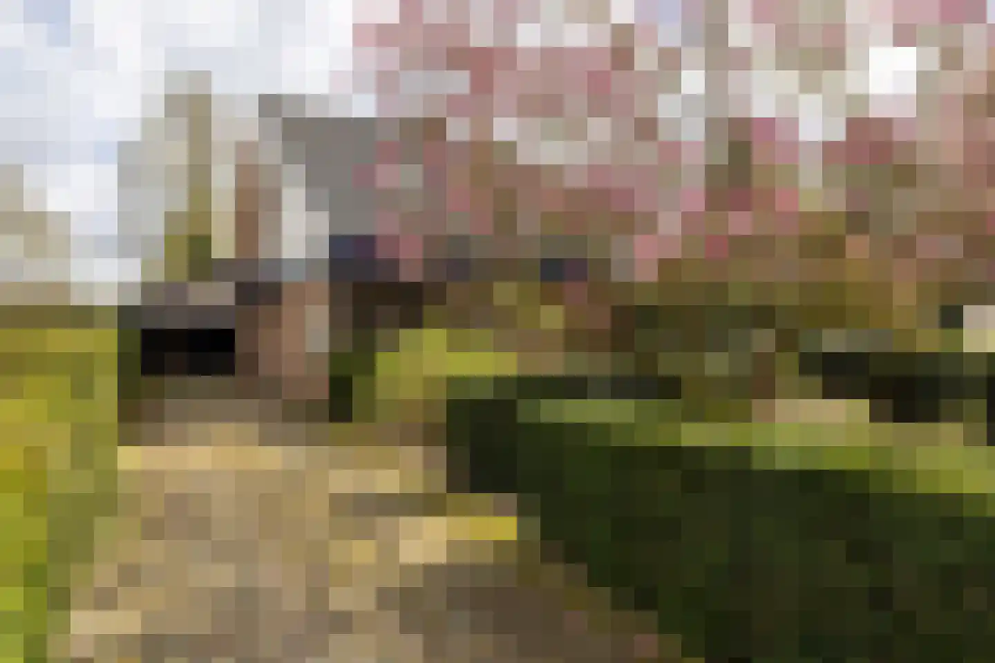 Keppelseweg 16 Wehl thumbnail 20