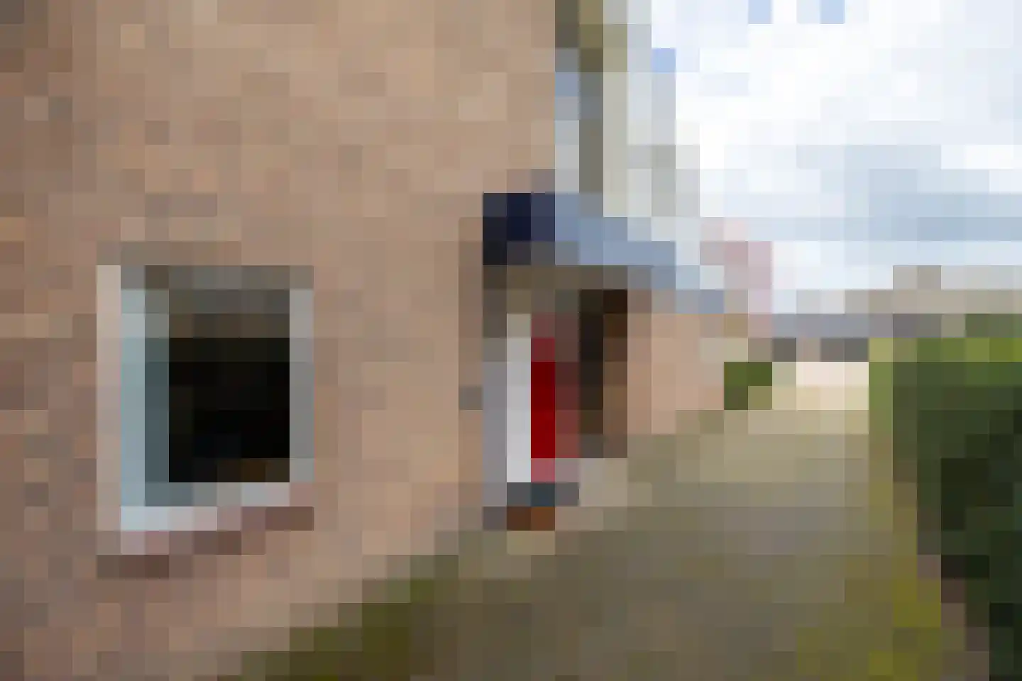 Keppelseweg 16 Wehl thumbnail 25