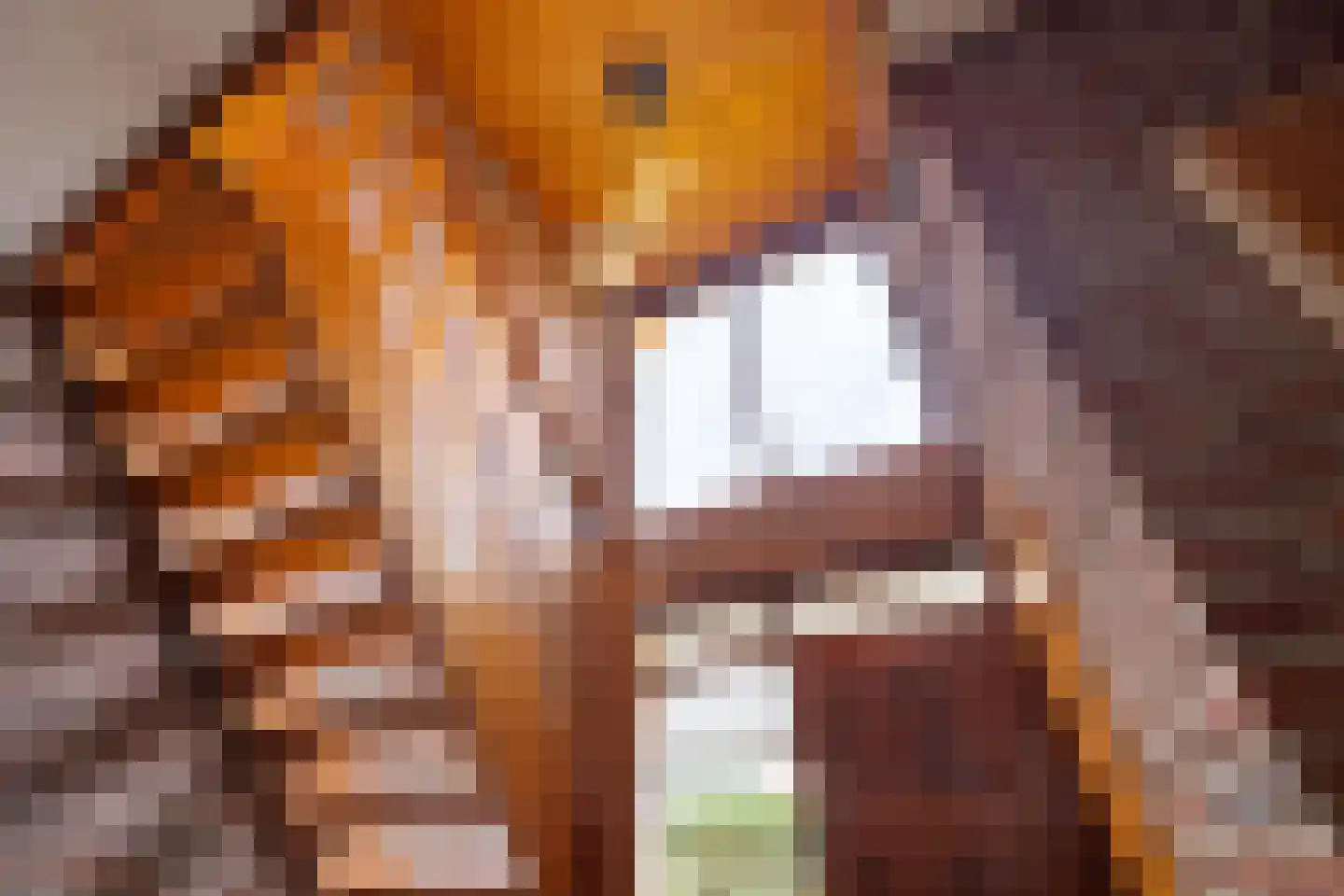 Keppelseweg 16 Wehl thumbnail 30