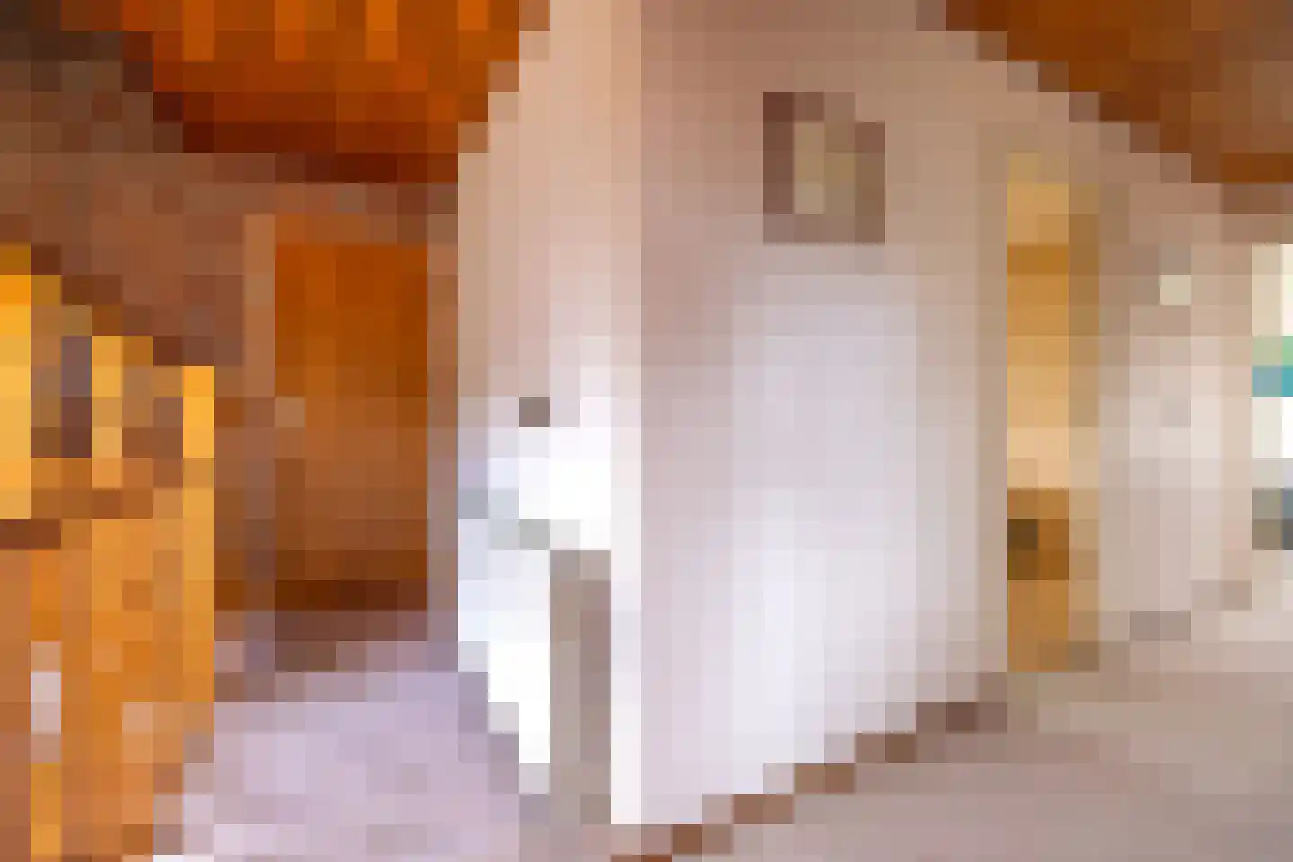 Keppelseweg 16 Wehl thumbnail 37