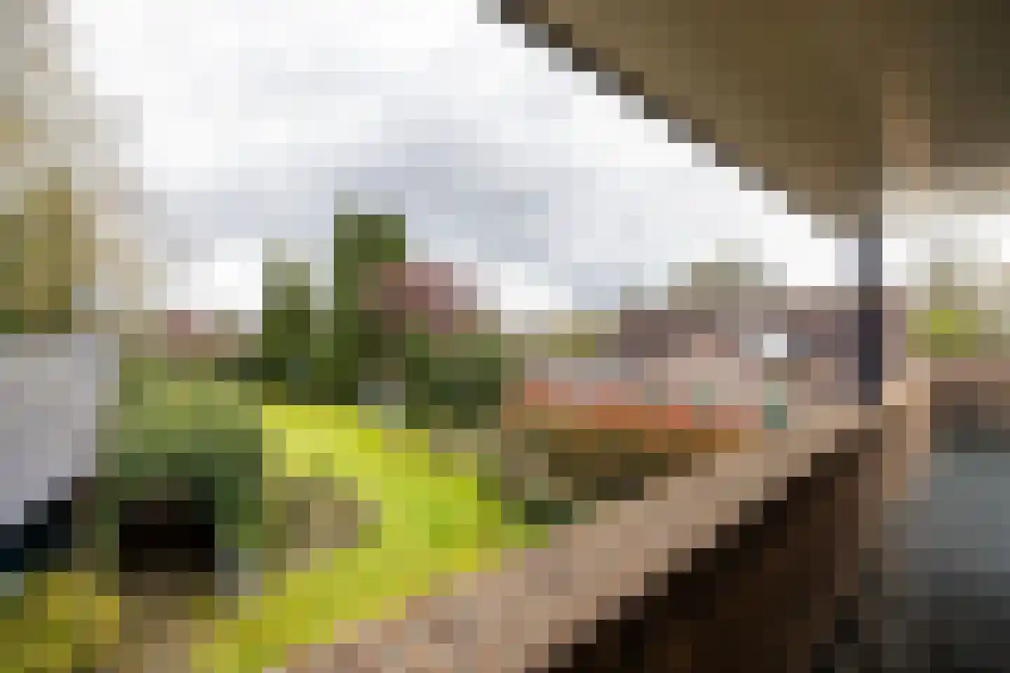 Keppelseweg 16 Wehl thumbnail 40